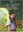 Back to the Secret Garden Movie