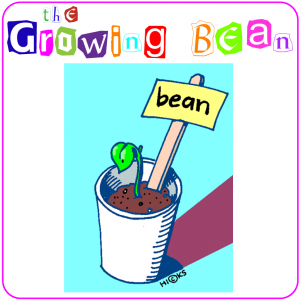 The Growing Bean