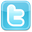 Twitter Icon