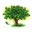 Money Tree