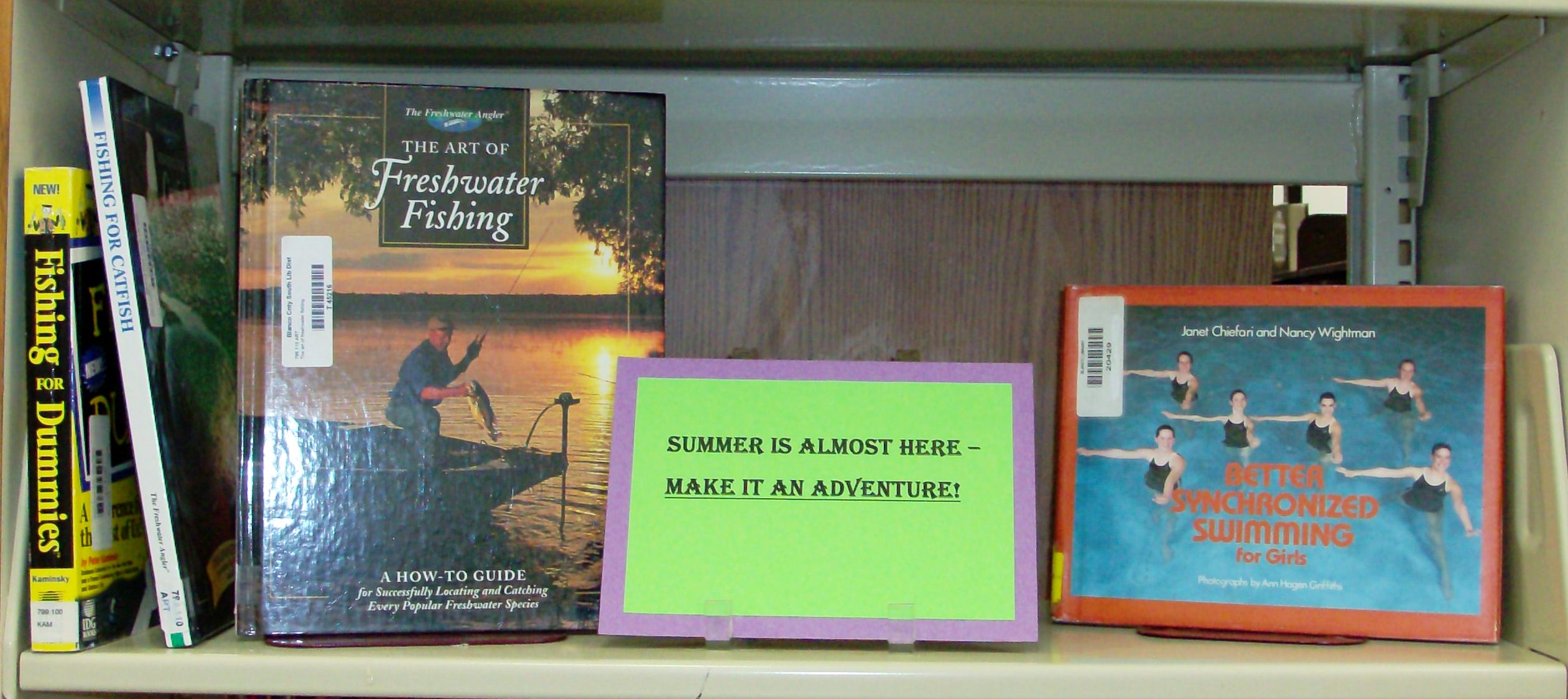 Summer books display close-up