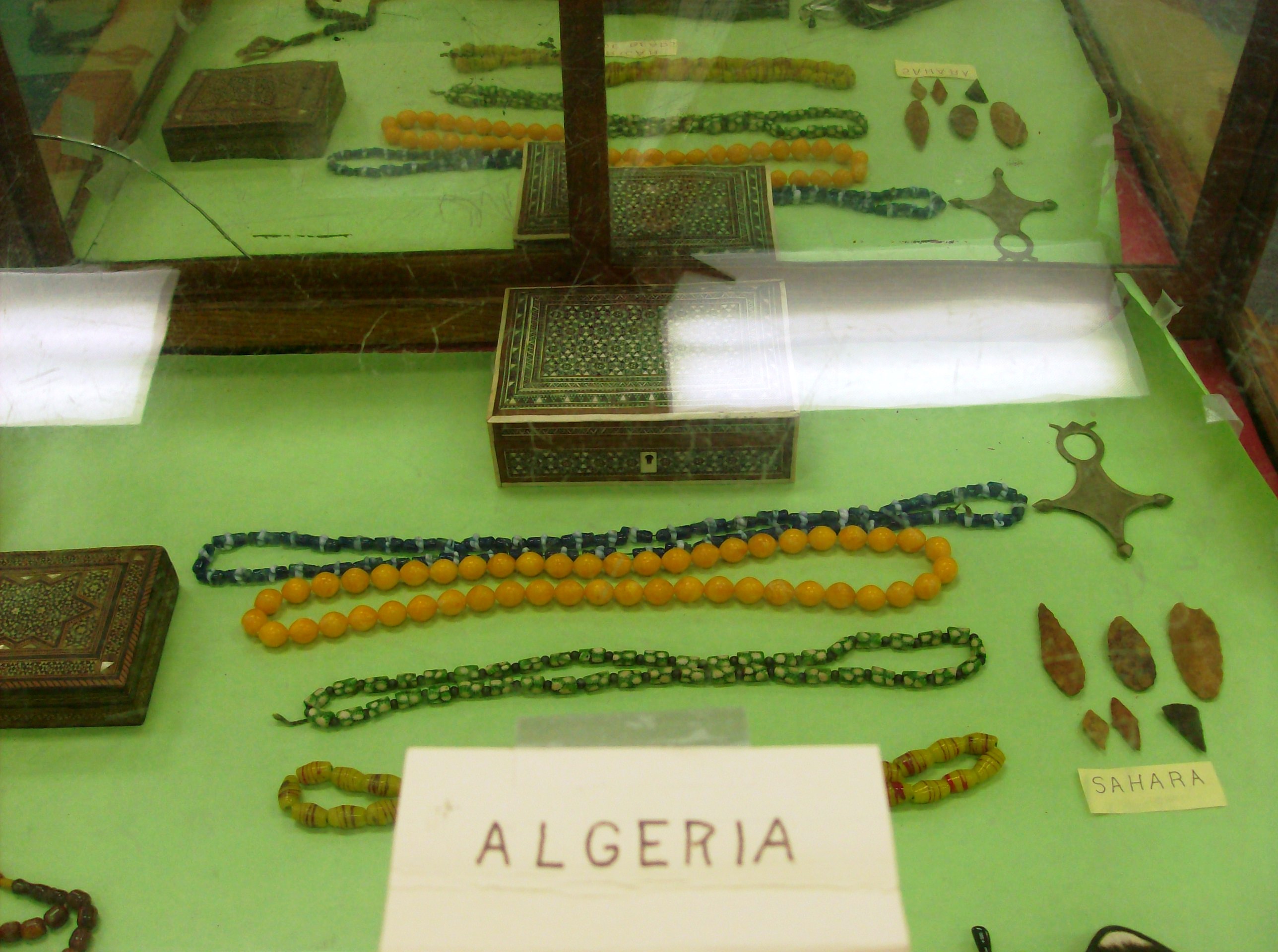 Display box of Alegerian artifacts