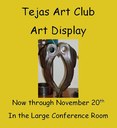Tejas Art Display