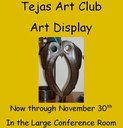 Tejas art display