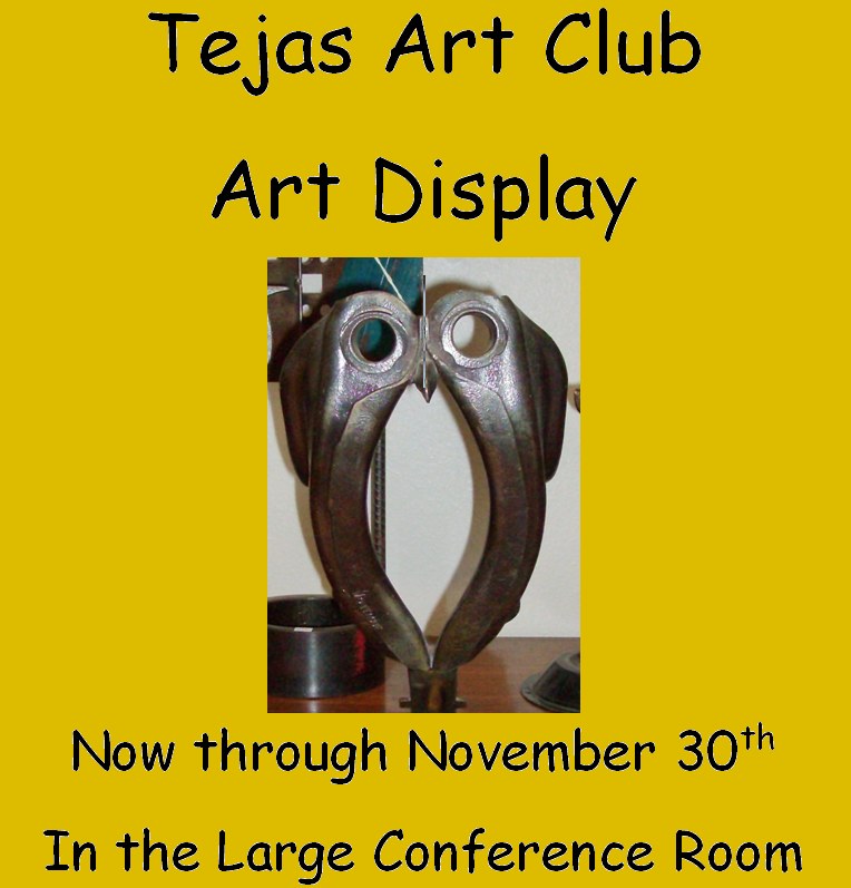 Tejas art display