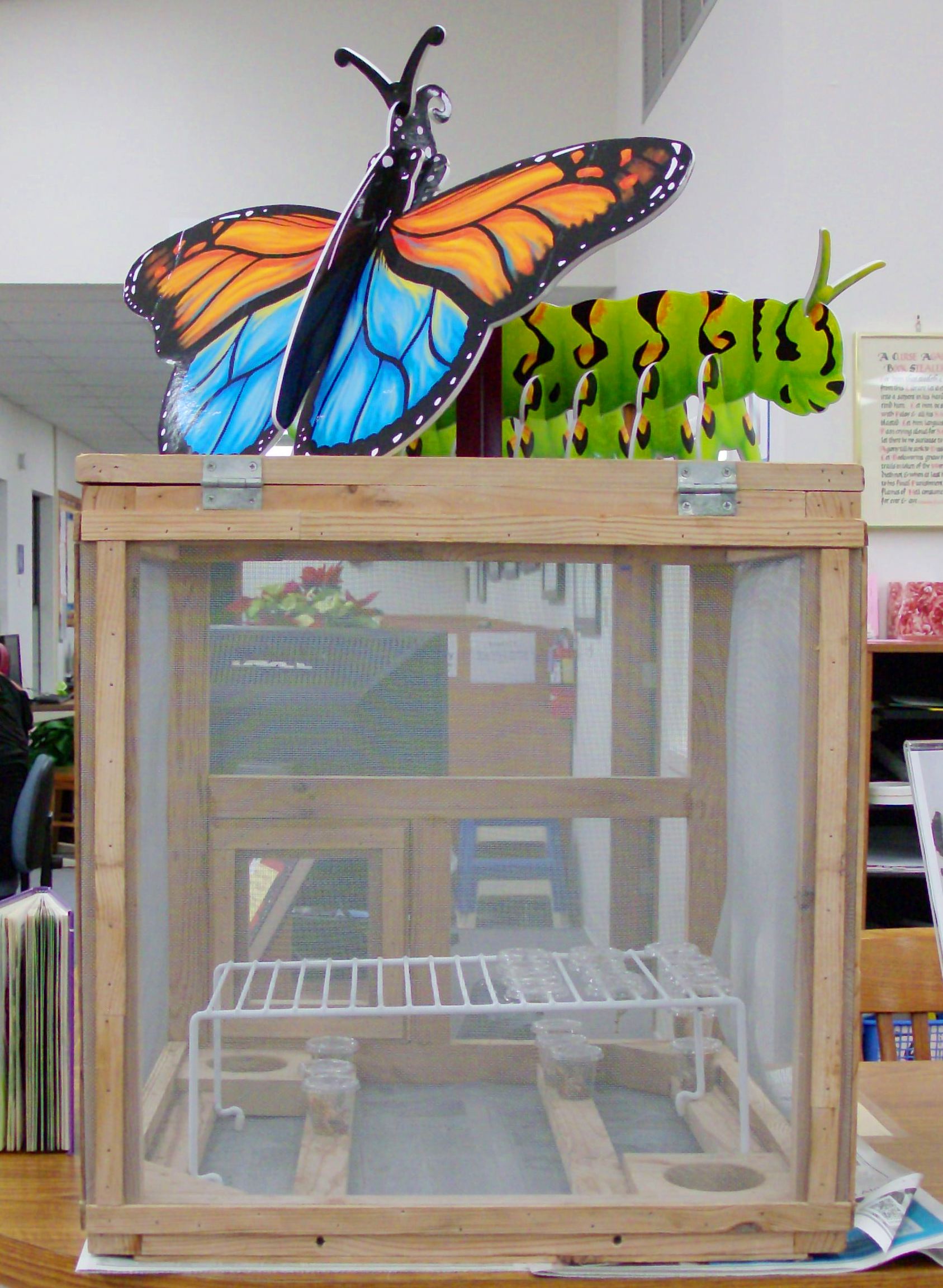 Butterfly Cage