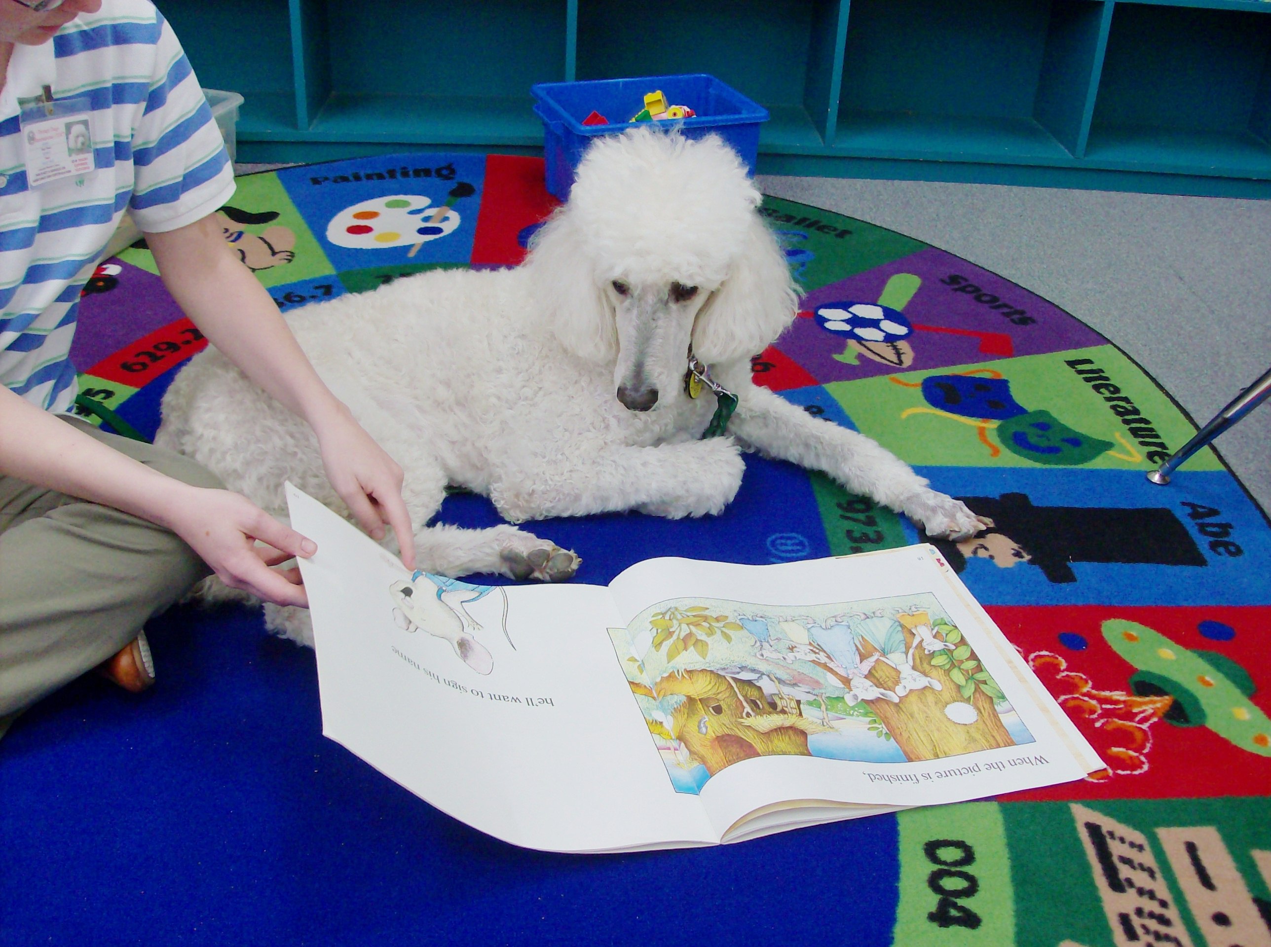 Reading to Sunny