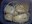 Mice with balls