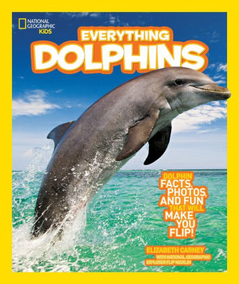 Everything Dolphins.jpg