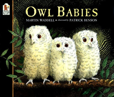 Owl Babies by Martin Waddell.jpg