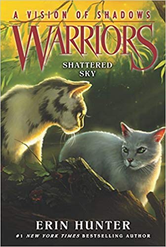 Warriors A Vision of Shadows.jpg