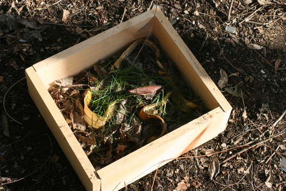 Mini Composting