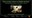 Effects of Solar Eclipses on Wildlife and Plants 4-1-24.jpg