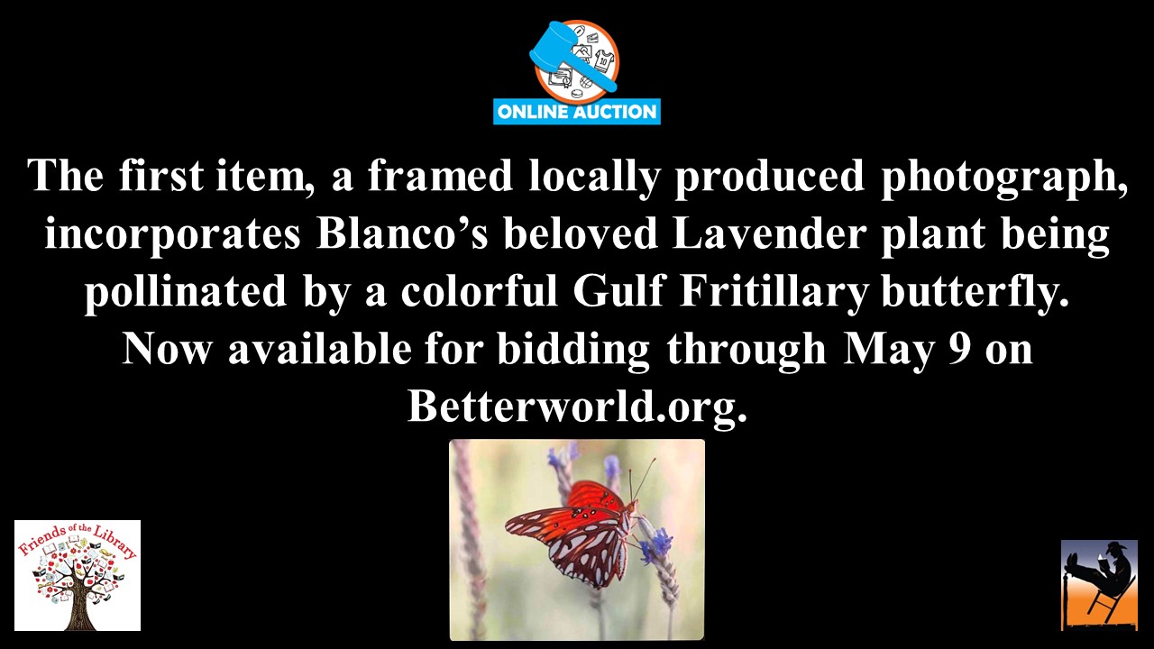 Friends auction 2021 - wk 1 Butterfly.jpg