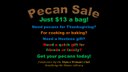 Pecan Sale - 10-31-19 - pic.jpg