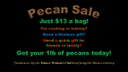 Pecan sale ad - 11-21-19.jpg