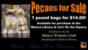 Pecan Sale ad 2023.jpg