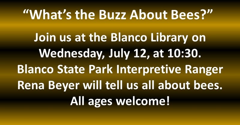 SRP Activity Day_What's the Buzz About Bees.jpg