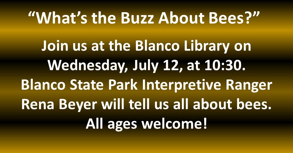 SRP Activity Day_What's the Buzz About Bees.jpg