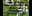 Storytime_Catalpa.jpg