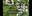 Storytime_Catalpa.jpg