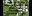 Storytime_Catalpa.jpg